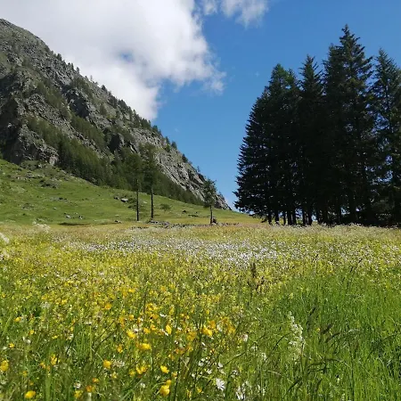 Apartment Les Racines *