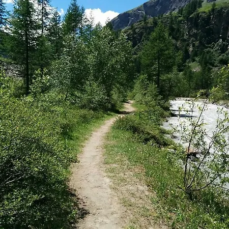 Apartment Les Racines *